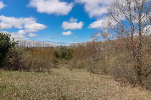 6071 E Gallivan Rd, Cedar, MI 49621 photo 30