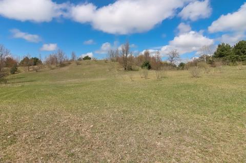 6071 E Gallivan Rd, Cedar, MI 49621 photo 28