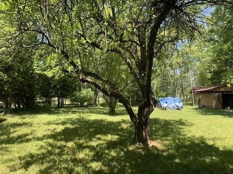 5809 Middle St, Hale, MI 48739 photo 35