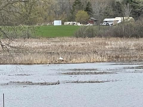 4535 Nipigon, Gladwin, MI 48624 photo 65