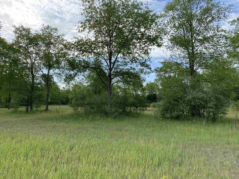 26 Deer Trak, Thompsonville, MI 49683