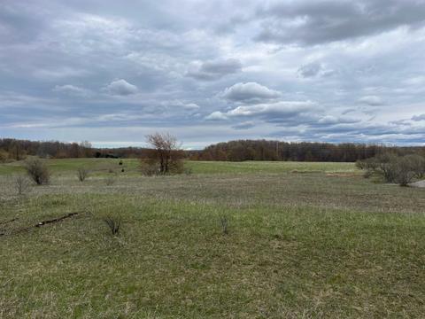 Parcel F Floreys Ranch Road Lot: F, Grawn, MI 49637