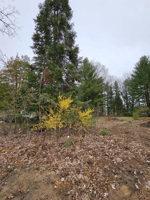 00 Cass, Lake City, MI 49651
