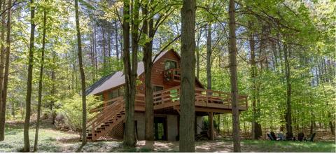 6072 S Lime Lake Rd, Cedar, MI 49621 photo 5