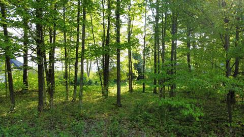 0 Robins, Charlevoix, MI 49720 photo 8