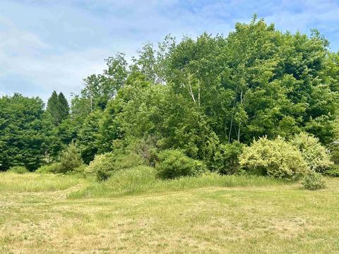 000 Hanrath #LOT : 5, Frankfort, MI 49635