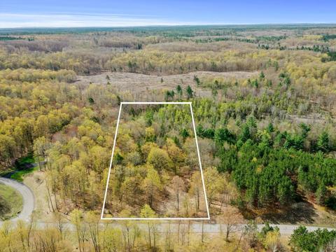 Lot 9 Truax Lake, Williamsburg, MI 49690