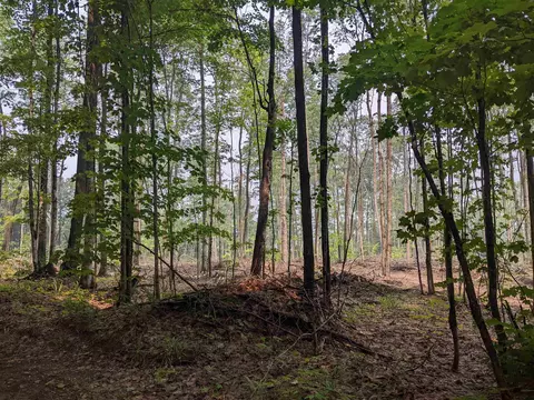 0000 Satterly #LOT : 15, Mancelona, MI 49659