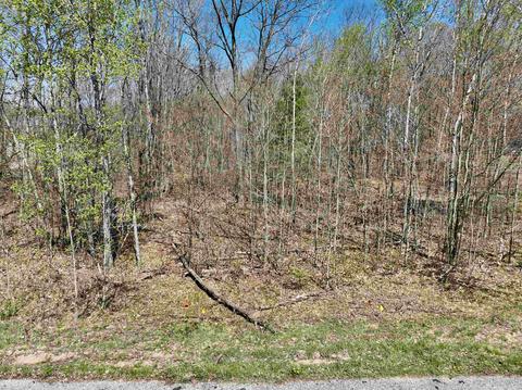 Lot 20 Bramblewood, Cadillac, MI 49601