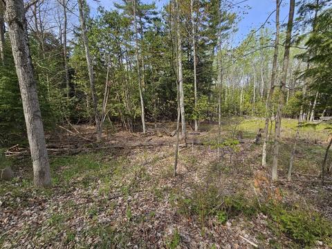 0 S West #LOT : 79-81, Northport, MI 49670