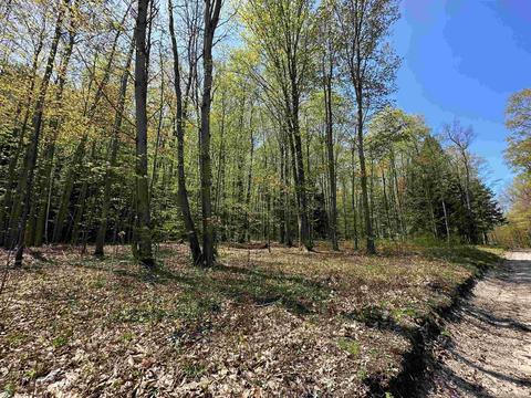 5041 Revnell Rd, Beulah, MI 49617