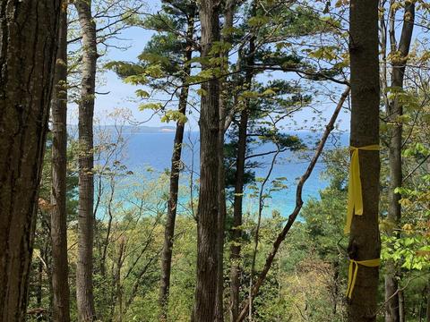E Overby Trail, Lake Leelanau, MI 49653