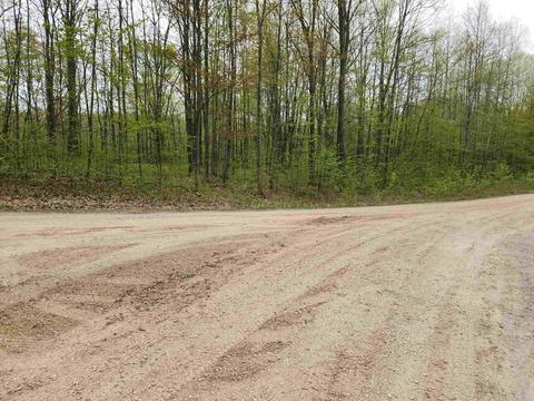 Lot 20 Acorn Ridge Trail, Beulah, MI 49617