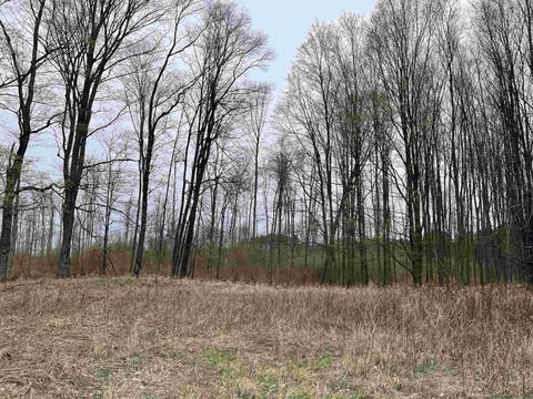 K Summit City Road Lot: K, Kingsley, MI 49649