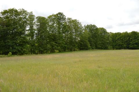 m summit city LOT : M, Kingsley, MI 49649