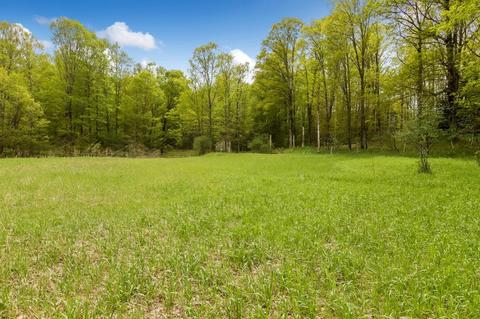 1555 N Haze Rd, Beulah, MI 49617