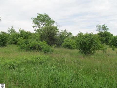 1581 Mark #LOT 7/ TWIN HAVEN SUB. : 7, Cadillac, MI 49601