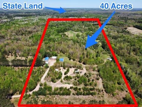 7366 N 47 34 Rd, Manton, MI 49663