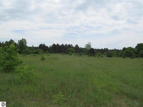 1686 Mark #LOT 12/ TWIN HAVEN SUBD. : 12, Cadillac, MI 49601