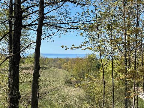 03 W Sleepy Valley Dr #LOT : 3, Empire, MI 49630