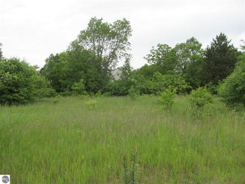 1526 Mark #LOT 18/ TWIN HAVEN : 18, Cadillac, MI 49601