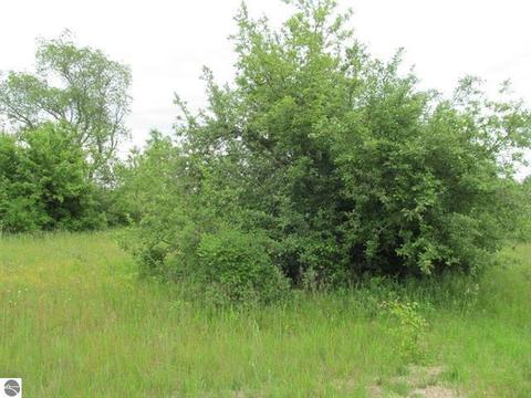 9 Lots Mark #LOT S 8 THRU 16, Cadillac, MI 49601