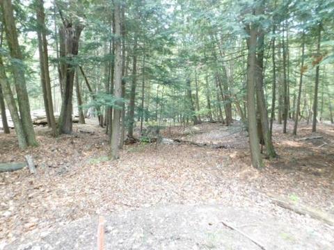 S Michaels Woods, Maple City, MI 49664