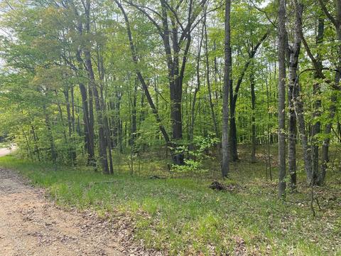 Thurgau Lot: 423&4, Reed City, MI 49677