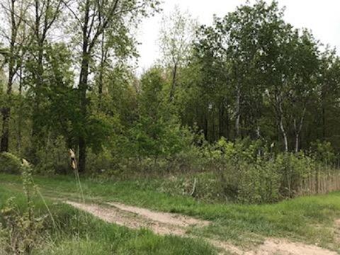 N/a E Huron Road, Au Gres, MI 48703 photo 2