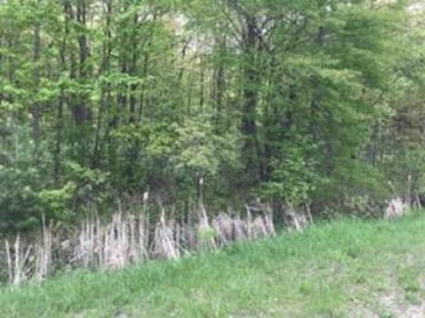 N/a E Huron Road, Au Gres, MI 48703 photo 3