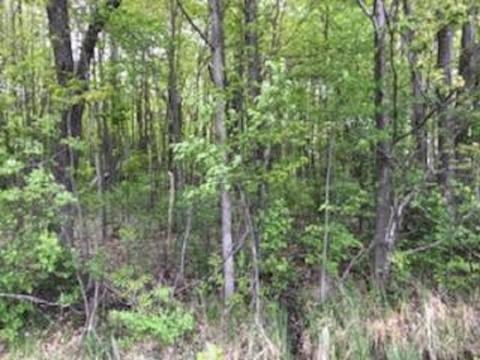 N/a E Huron Road, Au Gres, MI 48703