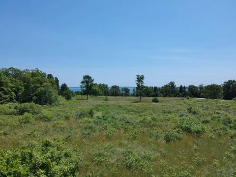 2114 N Belanger Crk #LOT : 11, Suttons Bay, MI 49682