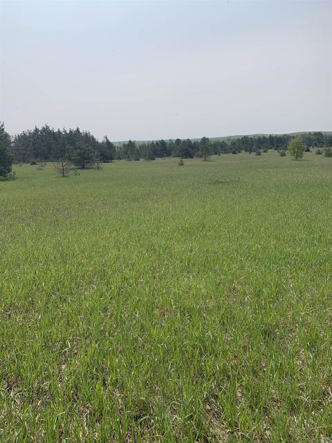 Parcel 4 Off Doerr Road, Mancelona, MI 49659