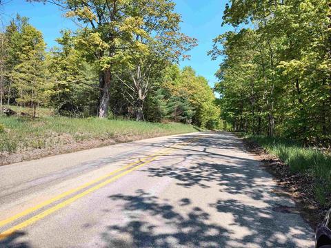 40 Acres E Darga Rd, Cedar, MI 49621 photo 3