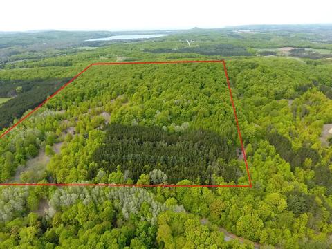 40 Acres E Darga Rd, Cedar, MI 49621 photo 4