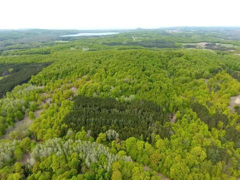 40 Acres E Darga Rd, Cedar, MI 49621 photo 6