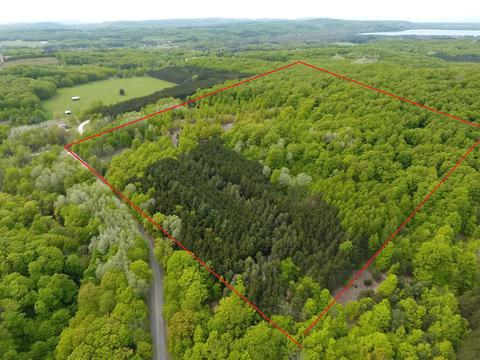 40 Acres E Darga Rd, Cedar, MI 49621 photo 2