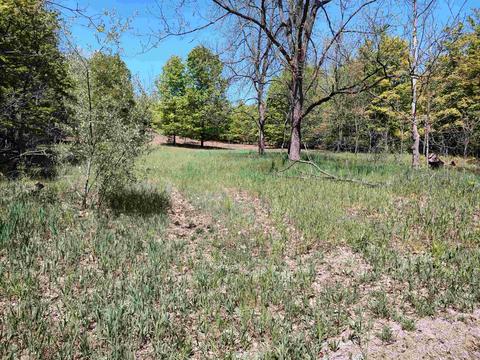 40 Acres E Darga Rd, Cedar, MI 49621 photo 8