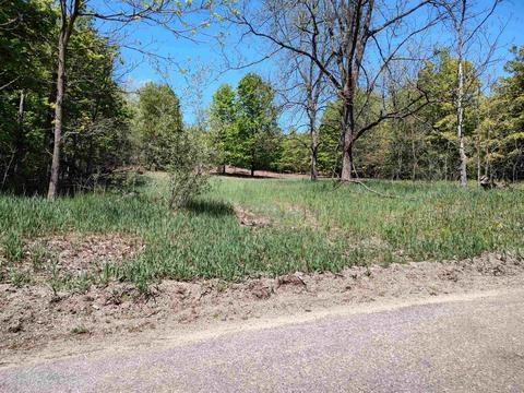 40 Acres E Darga Rd, Cedar, MI 49621