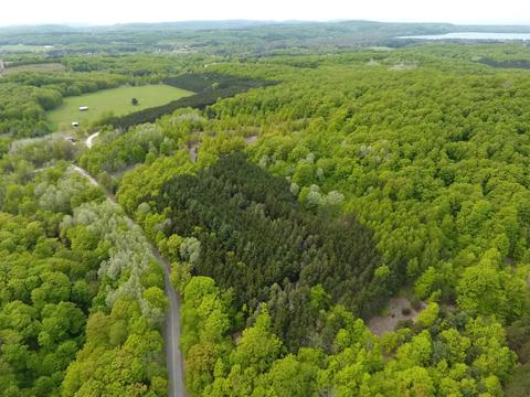 40 Acres E Darga Rd, Cedar, MI 49621 photo 7
