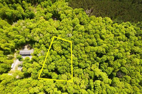 0000 SW Copper Trl, Fife Lake, MI 49633