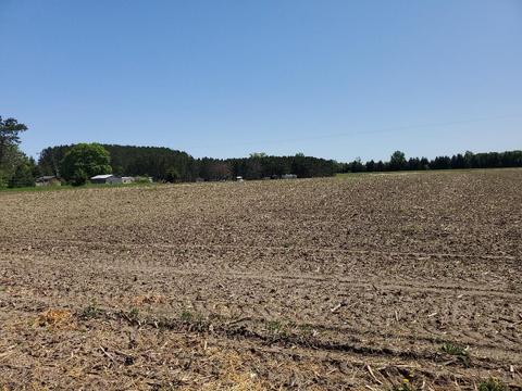 00 Co Road 633, Buckley, MI 49620