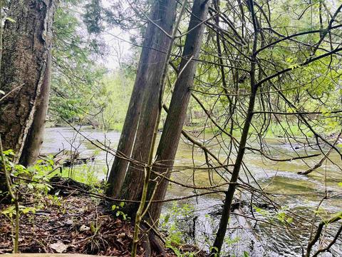 00 Deer Valley Lane, Beulah, MI 49617