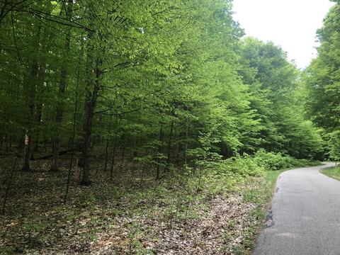 000 S Beaver Pond Rd, Empire, MI 49630