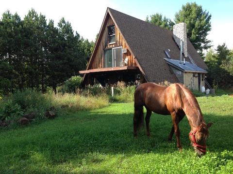 731 W Hlavka, Maple City, MI 49664