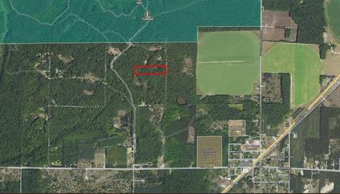 3134 Ross Dr N, Alba, MI 49611