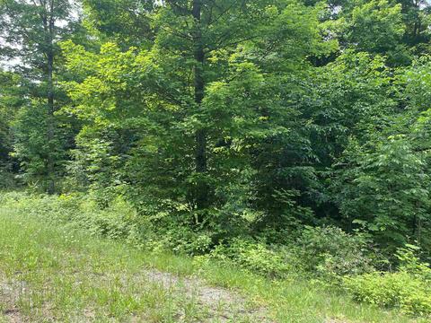 00 W Timber View Trl, Empire, MI 49630