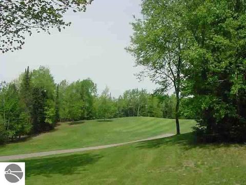 Lot 16 White Pine Drive, Cadillac, MI 49601