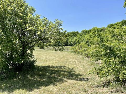 362 E 32 Rd, Boon, MI 49618 photo 61
