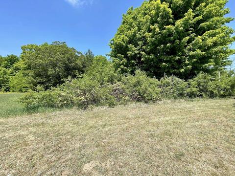 362 E 32 Rd, Boon, MI 49618 photo 69